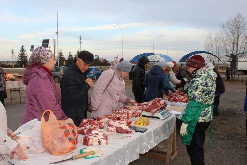 В Новошешминске прошла первая осенняя ярмарка