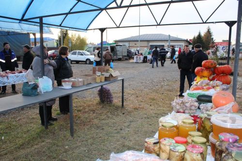 В Новошешминске прошла первая осенняя ярмарка