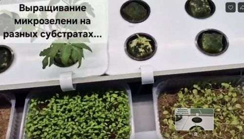 Яңа агротехнологик классларда мавыктыргыч эш бара