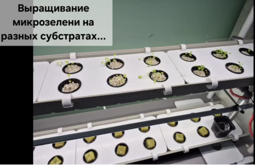 Яңа агротехнологик классларда мавыктыргыч эш бара