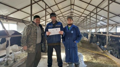 Ситуация по болезням животных остается напряженной
