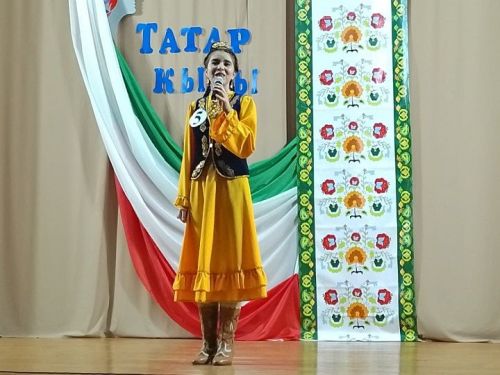В Новошешминске прошел национальный конкурс «Татар кызы-2025»