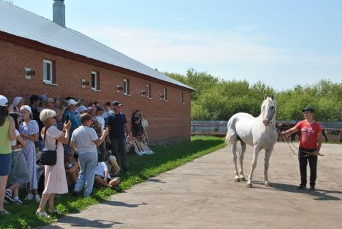 Вспоминая ушедший год: яркие фото людей и событий из «ШН»