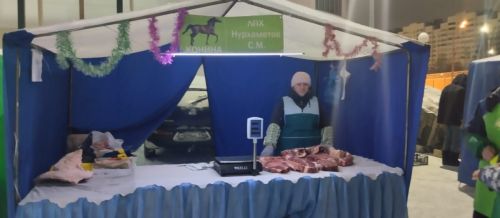Новошешминцы на ярмарке в Казани