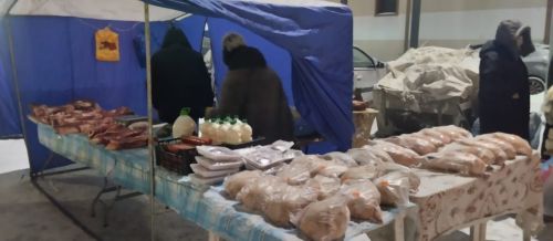Новошешминцы на ярмарке в Казани