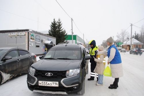 За безопасные дороги: в Новошешминске прошла профилактическая акция в рамках «Зимних каникул»