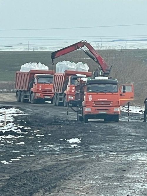 В Новошешминском районе стартовали весенне-полевые работы