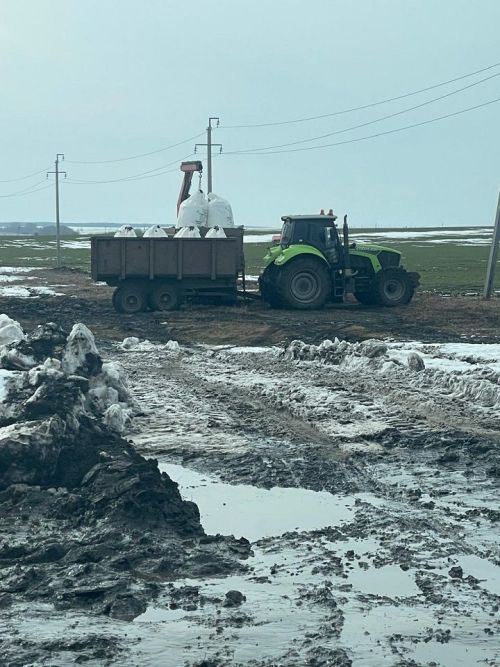 В Новошешминском районе стартовали весенне-полевые работы