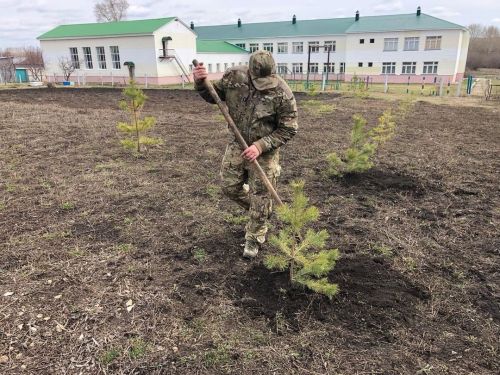 В Краснооктябрьском сельском поселении заложили «Аллею славы»