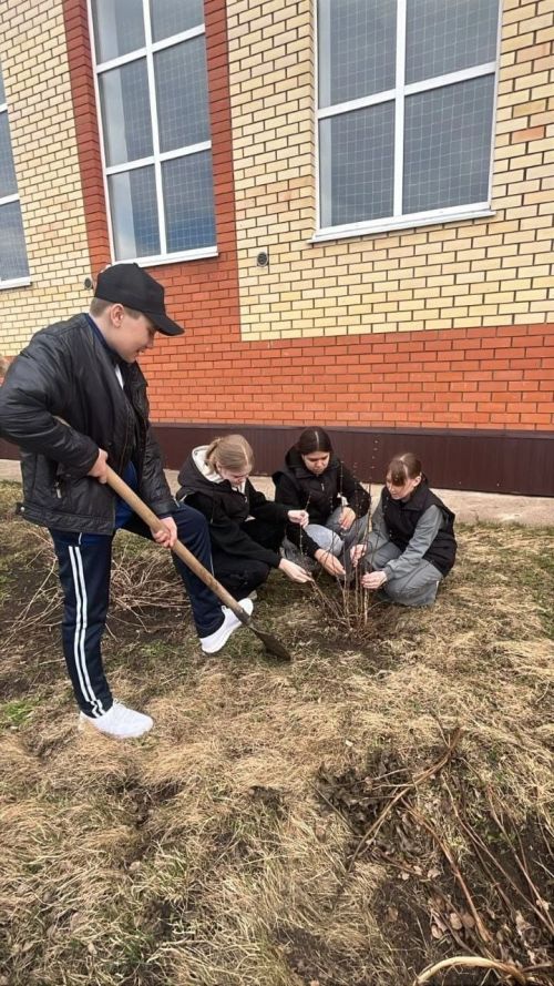 Первые и Орлята России приняли участие в мероприятии «Сад памяти»