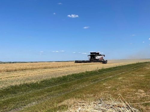 В ООО «АгроРаздолье» приступили к уборке зерновых культур