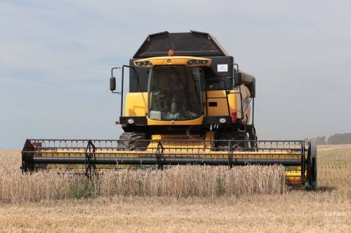 Осталось убрать 13 тыс. гектаров технических культур