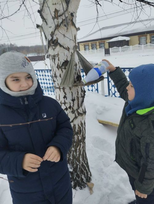 В Горшковском СК рассказали подросткам о зимней помощи птицам