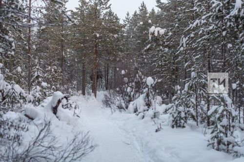 Народные приметы на 22 января 2026 года: что можно и чего нельзя делать в этот день