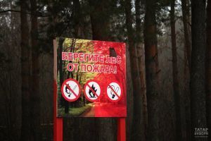 С 25 апреля в Татарстане планируют ввести особый противопожарный режим