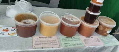 Новошешминцы на ярмарке в Казани