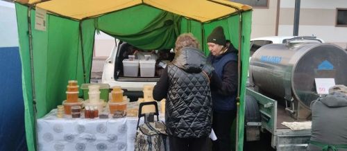 Новошешминцы на ярмарке в Казани