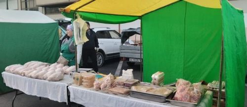 Новошешминцы на ярмарке в Казани