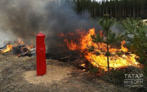 Введен особый противопожарный режим