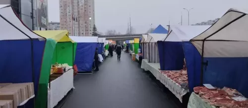 Новошешминцы на ярмарке в Казани