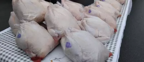 Новошешминцы на ярмарке в Казани