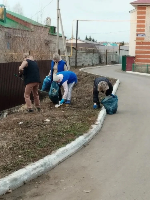 Вот такие дружные жильцы живут в Новошешминске, на Ленина, 19А!