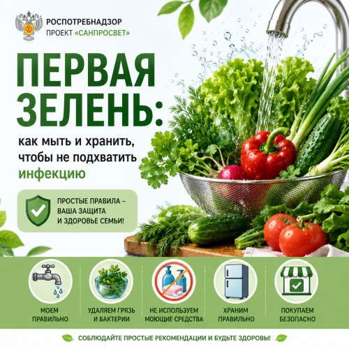 Первая зелень: как мыть и хранить, чтобы не подхватить инфекцию