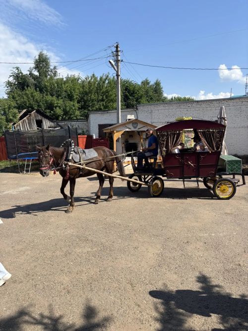 Поездка, подарившая радость: искренняя благодарность за доброе дело