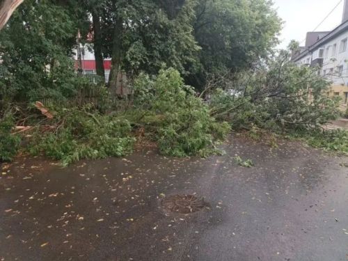 В Чистополе ликвидируют последствия ураганного ветра