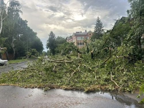 В Чистополе ликвидируют последствия ураганного ветра