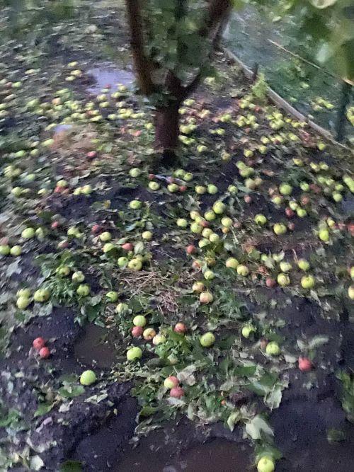 Мощный град и ливень обрушились на Новошешминск