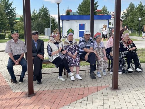 В Новошешминском парке культуры прошёл праздник День дружбы народов
