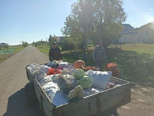 Жители Зиреклинского сельского поселения организовали сбор овощей для нуждающихся