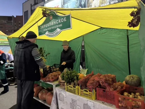 В Казани прошла ярмарка с продукцией фермеров Новошешминского района