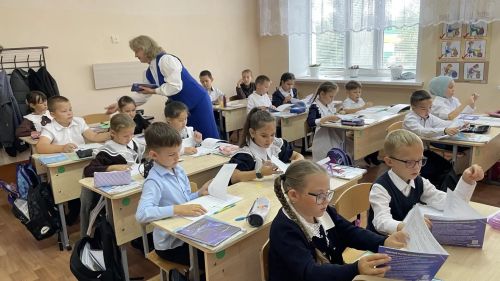 Не только буквы и цифры: в Новошешминской школе прошел урок дорожной грамотности