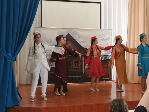 В Новошешминске прошел День татарской литературы