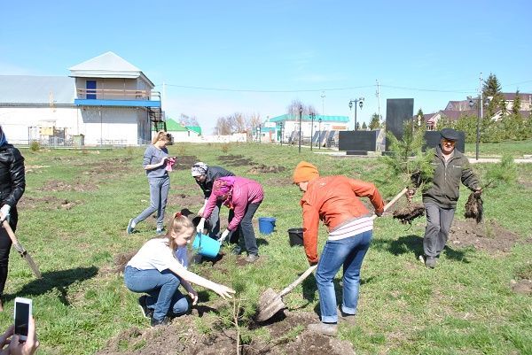 В Новошешминском районе прошел День посадки леса
