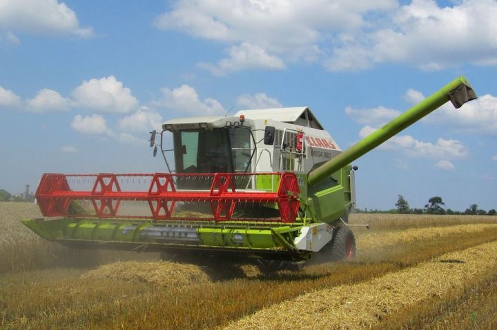 За последний года на территории Татарстана закрылось более 20 сельхозпредприятий