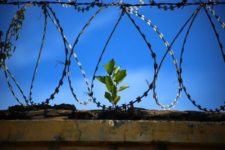 В Татарстане 1200 заключенных могут досрочно выйти на свободу