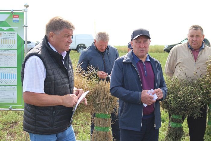 Министр сельского хозяйства РТ призвал не торопиться продавать зерна