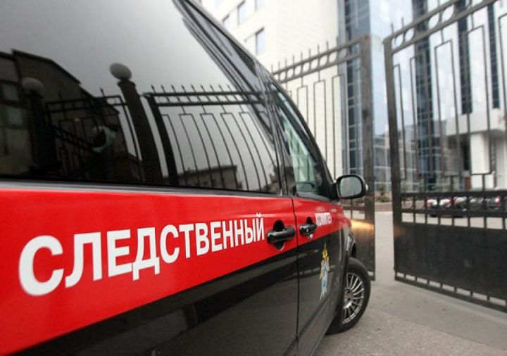 Приемную девочку из Новошешминского района жестоко убил опекун из Алексеевска