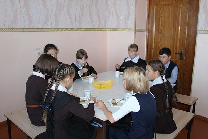 Все школьники Новошешминского района обеспечены горячим питанием
