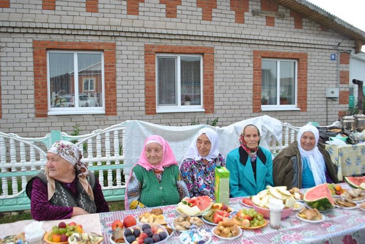 Какие мероприятия пройдут в Новошешминском районе в декаду пожилых
