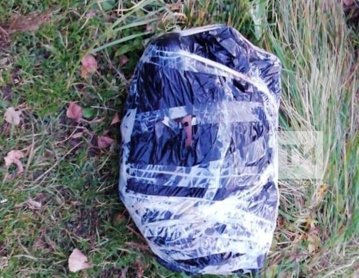 В Набережных Челнах снова найдена отрезанная голова человека