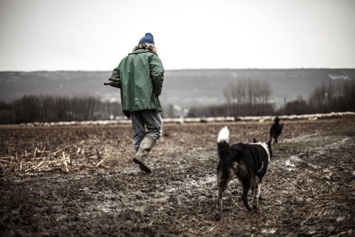 В Ростовской области в перестрелке погибли пять фермеров