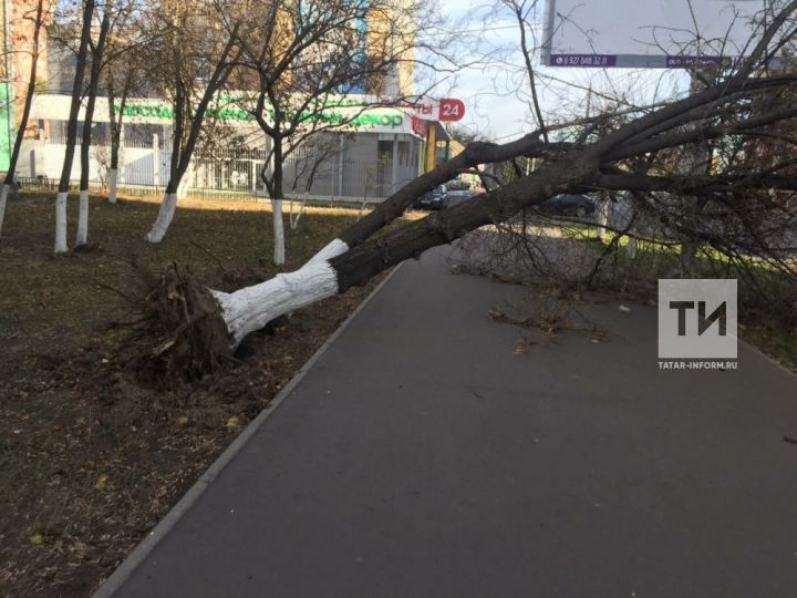 Последствия сильного ветра в Татарстане: сорванные крыши, поваленные деревья