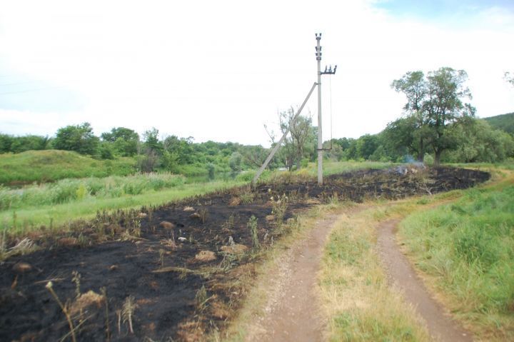 Пожарные сняли с электропроводов обгоревшее тело жителя Татарстана