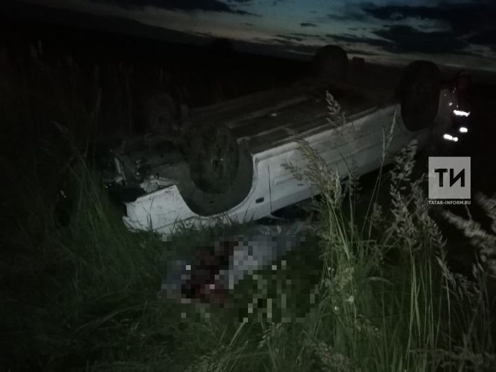 Женщина-водитель «Лады» погибла, вылетев с дороги в кювет у села Черемшан