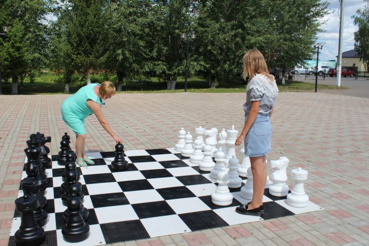 Подарок шахматистам