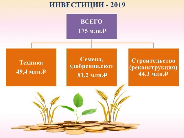 За первое полугодие 2019 года сельхозформирования Новошешминского района инвестировали в свое производство 175 млн. рублей